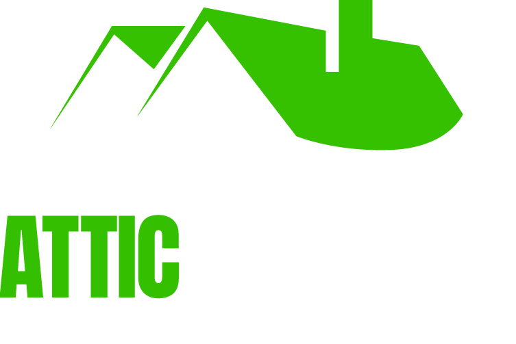Attic Cleaning Service